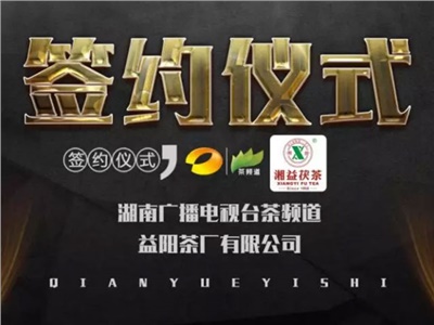 湘益茯，美茗揚 丨湘益茯茶與茶頻道達成長(cháng)期戰略合作