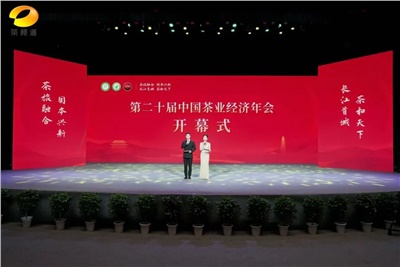 【聚焦第二十屆中國茶業(yè)經(jīng)濟年會(huì )】益陽(yáng)茶廠(chǎng)榮獲“民族團結互助企業(yè)”、“2024年度茶業(yè)重點(diǎn)企業(yè)”榮譽(yù)稱(chēng)號